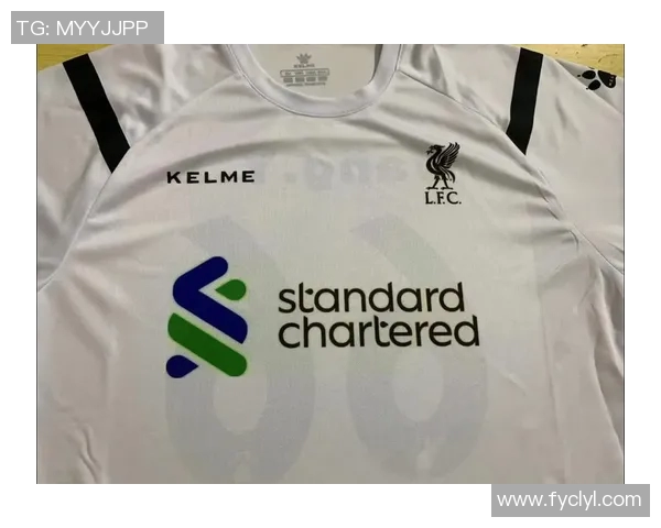 穿14号球服的足球巨星们:他们如何书写传奇与辉煌历程